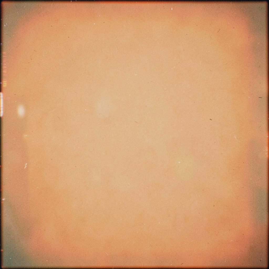 Analog film photograph of a community prayer at sunset, deep amber tones and silhouettes against the horizon